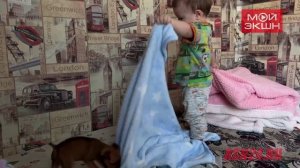 В Приамурье годовалый малыш подружился со щенком