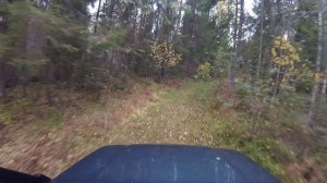 Chevrolet Niva покоряет лесные тропы. Часть 1