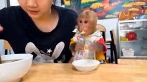 Как Bibi с мамой ходил кушать в кафе.  1000044450.mp4