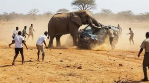 Невероятные случаи на сафари, снятые на камеру.