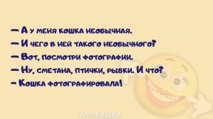 Сборник анекдотов - Улыбашка