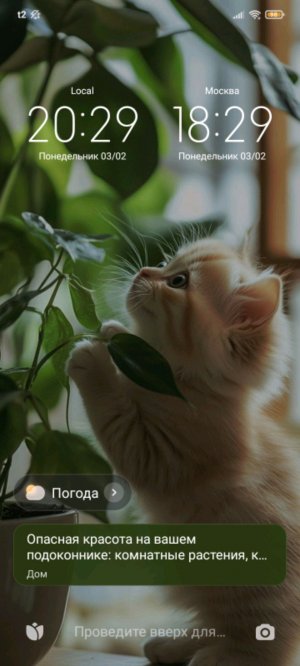 ден в школе