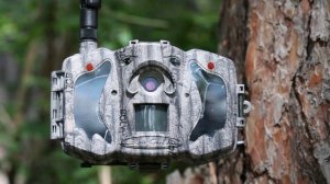 Волжско-Камский заповедник (фильм для дошкольников)