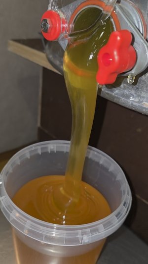 Мёд разнотравье 800₽/литр, 550₽/кг