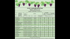 Продажа саженцев и черенков винограда.  
 +7 (959)-183-01-40 Евгений.