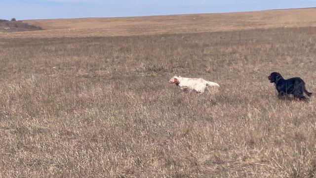 Федора и Уран. 03.03.26. смотреть онлайн