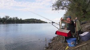 Oktobarska Tisa EP224_16012024