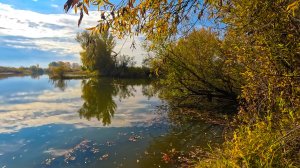 Началось всё с дождя ! Рыбачим на протоке "Талая".