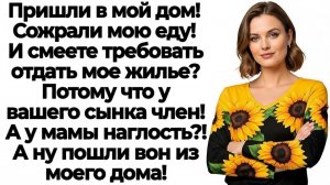 Свекровь требовала квартиру! Я вынесла ее с сыночком баулы!