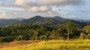 Большой Будда на Пхукете закрыт 2025.