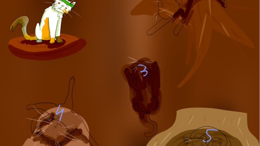 Деревко ОПИСАНИЕ!!