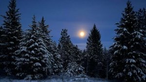 ЧТО С РАЗБИТОЙ МАШИНОЙ/// СОГАЗ/// КАК ДЕЛА НА СЕГОДНЯ