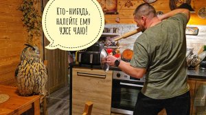 Сова Ёль опять осталась дома вместе с Артёмом. Что могло пойти не так?