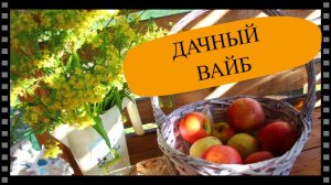 дачный вайб