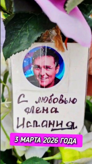 В эти мартовские дни: гости из Барселоны у могилы Юрия Шатунова #shorts #шатунов #2026 #белыерозы