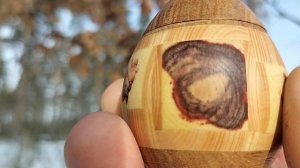 Шкатулка в мартовском лесу на зимнем дубе