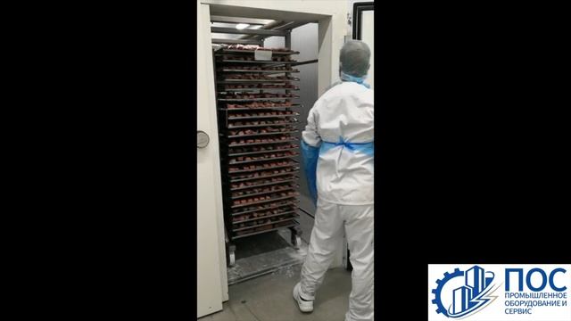 Электромагнитная Шоковая Заморозка (Electromagnetic Shock Freezing) ESF – уникальная технология.