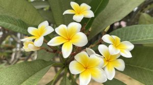 THAILAND | КРАСИВАЯ ПРИРОДА ШИКАРНЫЙ ПЛЯЖ и МОРЕЕЕЕЕ