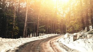 День ожидания чуда. Такое утро