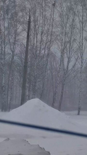 снегопад Вилли бушует