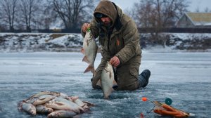 ТУТ РЫБА ЛОВИТЬСЯ ПО ДВЕ ШТУКИ ЗА РАЗ! НАЛОВИЛ ВЕДРО РЫБЫ СО ЛЬДА!