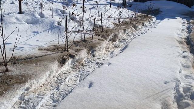 мой маленький интенсивный сад.