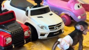 С утра Николь это просто ОБЕЗЬЯНКА-ЭНЕРДЖАЙЗКР❤️