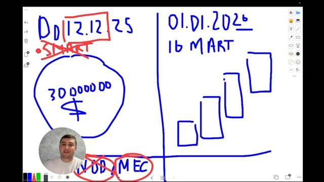 Bitnest: выплаты 16 марта — факт или задержка? Разбор ситуации