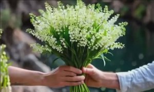 ВЕСНА,ЛЮБОВЬ И ЭТИ ЛАНДЫШИ! ВСЕ ДЛЯ ТЕБЯ,ЛЮБИМАЯ!