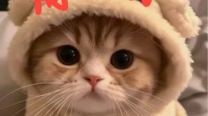 извините что давно не появлялся а так-то пытаюсь стать ютубером реле world