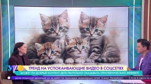 Тренд на успокаивающие видео в социальных сетях