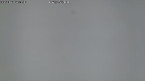 LIVE: channel43489494