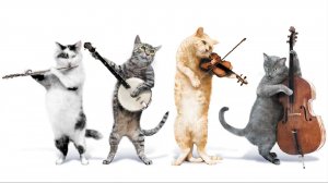 Серенада кота Маркиза