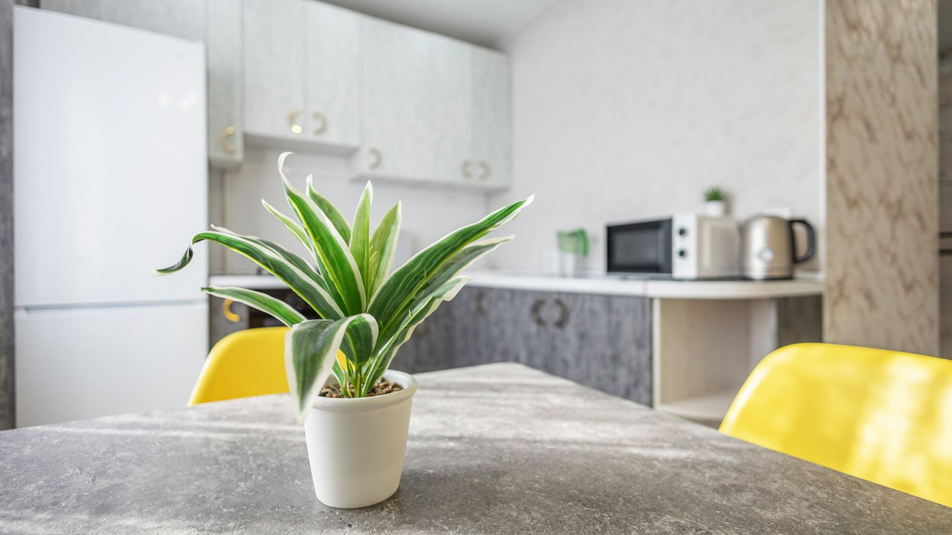 Звездова 103 Аренда