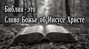 16.06.2024 "Библия - это Слово Божье об Иисусе Христе" Кудрявцев Юрий