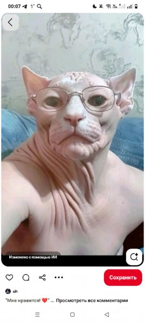 собираюсь к репетиторше