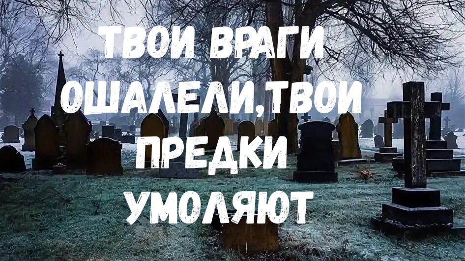 ТВОИ ПРЕДКИ УМОЛЯЮТ НАЖАТЬ