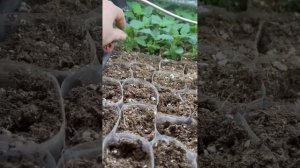 1 марта (часть 2)