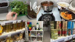 VLOG: Моя РАССАДА//Вкусная ТУШЕНКА//Уборка и ПЕРЕСТАНОВКА в ДЕТСКОЙ/Покупки ИГРУШЕК
