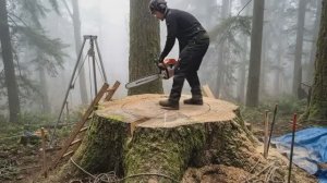 Построил ШИКАРНЫЙ ДОМ под ЗЕМЛЕЙ в ЛЕСУ и переехал туда жить.