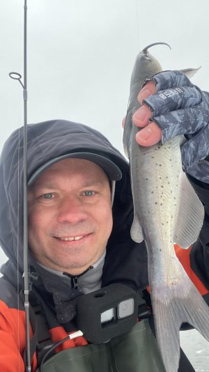 Я ЕЁ ПОЙМАЛ! Редкая рыбка. Полный ролик на канале! #мормышинг #микроджиг #fishing