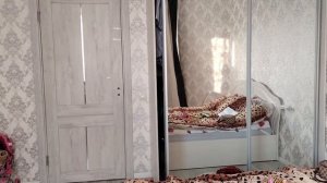 Вызываем Картон кета в день котов😱