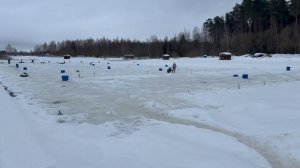 Запуск форели в акваторию !!!