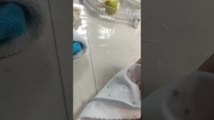 наш вечер с Олей после прогулки.