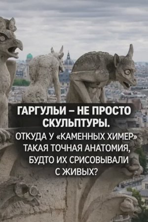 Гаргульи - не просто скульптуры. Откуда у каменных химер такая точная анатомия. Часть 1
