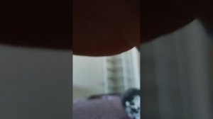 расширение локации для домиков