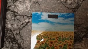 Гуляю,потом пеку котлетки из гречки,а затем на весы!