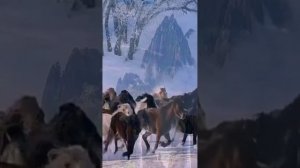 красивая природа.mp4