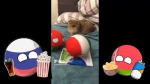 Глупая Беларусь