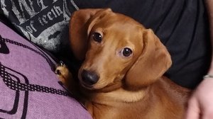 Делаю домашнюю работу по математике четвёртый класс страница 29 номер 90 и номер 91